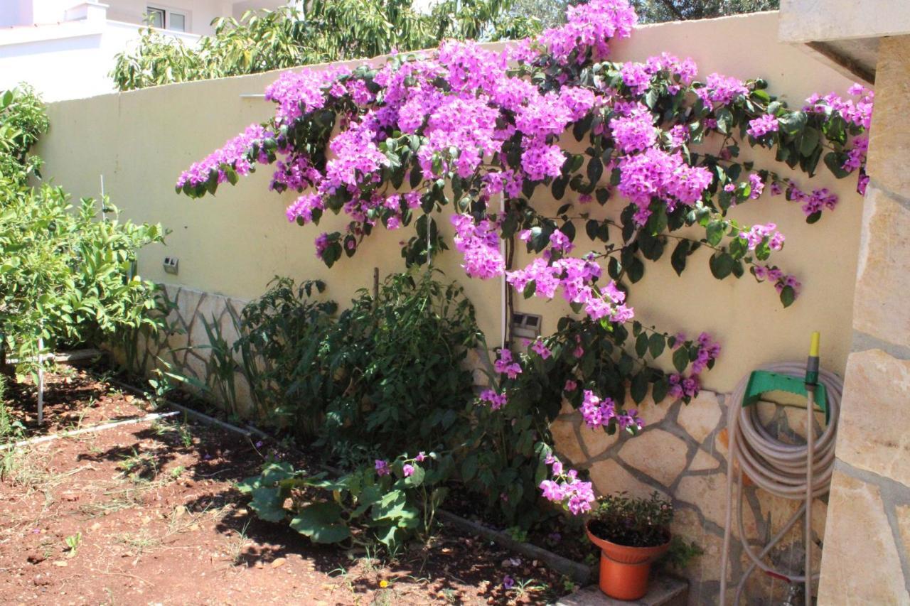 Apartments Villa Macola Trogir Ngoại thất bức ảnh
